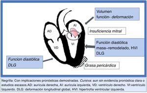 Corazón diabético. Detección temprana de disfunción miocárdica ¿Qué evaluar?.