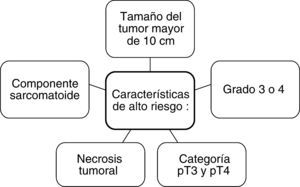 Factores de alto riesgo para carcinoma de células renales. Autoría propia.