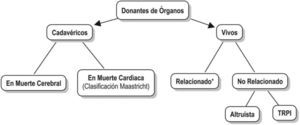 Esquema General tipos de donantes de órganos. TRPI: Programa de “Trasplante Renal Pareado e Intercambiado”. * En virtud de algún grado de consanguinidad.