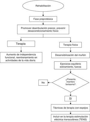 Flujograma con recomendaciones de rehabilitación del paciente amputado.