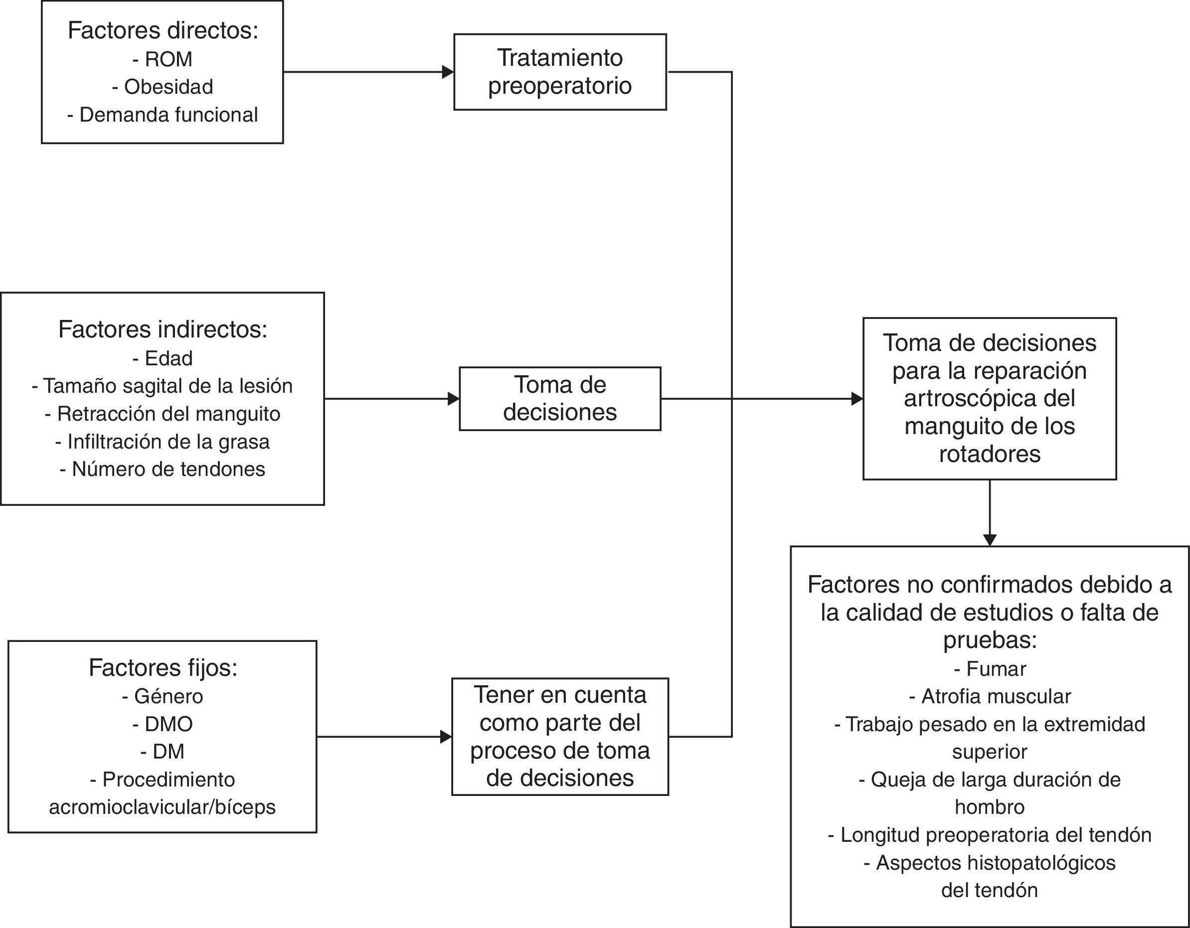 Manguito de los rotadores: epidemiología, factores de riesgo, historia