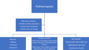 Neuropatía periférica.