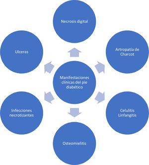 Manifestaciones clínicas del pie diabético.