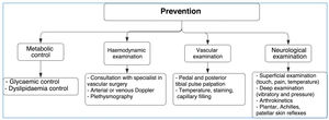 Preventive mechanisms for the diabetic foot.