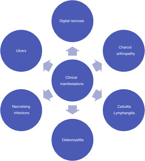 Clinical manifestations of the diabetic foot.
