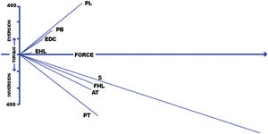 Acción muscular en la articulación subtalar. Nótese la importante fuerza invertora del soleo. PL (peroneus longus), PB (peroncus brevis), EDC (extensor digitorum communis), EHL (extensor hallucis largo), S (sóleo), FHL (flexor largo del dedo gordo del pie), AT (tibial anterior), PT (tibial posterior).