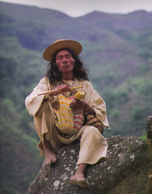 Indígena kogui con su poporo para mambear hayu.