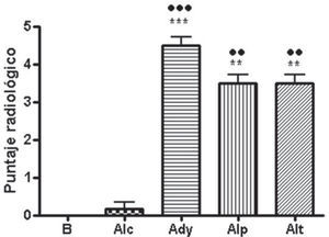Puntaje radiológico. La presencia de 2 símbolos (**) indica p<0.01 y 3 símbolos (***) p<0,001 vs. basal y (•) vs. control alendronato.