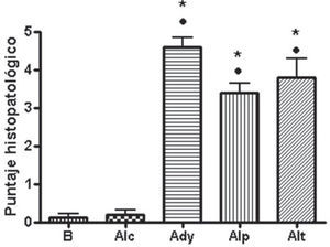 Puntaje histopatológico. (*) p<0,05 vs. basal y (•) p<0,05 vs. alendronato control.