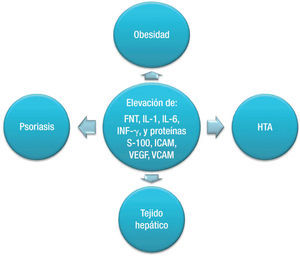 Relación de la elevación de las citocinas proinflamatorias con las entidades del síndrome metabólico. HTA: hipertensión arterial sistémica.