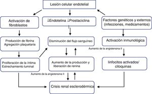 Fisiopatología de la crisis renal esclerodérmica.