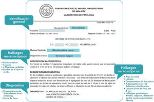 Reporte de patología de la biopsia de glándula salival menor y sus diferentes apartados.