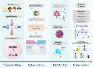 Historia natural del SS. La etiología del SS es multifactorial; en ella, un mosaico de factores hereditarios y estocásticos interactúan y traen como resultado la pérdida de la tolerancia inmunológica y el subsiguiente daño orgánico. El estado preclínico se caracteriza por la presencia de autoanticuerpos en suero, el infiltrado linfoplasmocitario en glándulas salivales y la producción de mediadores solubles proinflamatorios antes de la primera manifestación de la enfermedad. La fase clínica hace referencia a la expresión fenotípica compatible con SS, la cual incluye diversas formas de presentación o subfenotipos, incluida la poliautoinmunidad. AR: artritis reumatoide; CMH: complejo mayor de histocompatibilidad; CMV: citomegalovirus; EA: enfermedad autoinmune; ES: esclerosis sistémica; ETAI: enfermedad tiroidea autoinmune; FR: factor reumatoide; LES: lupus eritematoso sistémico; LT: linfocito T; MEG: manifestaciones extraglandulares; RCT: receptor de célula T; SS: síndrome de Sjögren; VEB: virus de Epstein-Barr; VHC: virus de la hepatitis C.