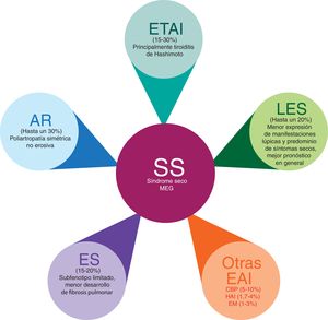Poliautoinmunidad en el SS. AR: artritis reumatoide; CBP: colangitis biliar primaria; EM: esclerosis múltiple; ES: esclerosis sistémica; ETAI: enfermedad tiroidea autoinmune; HAI: hepatitis autoinmune; LES: lupus eritematoso sistémico; MEG: manifestaciones extraglandulares; SS: síndrome de Sjögren.