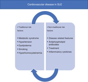 Cardiovascular disease in SLE.