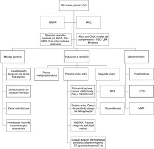 Algoritmo terapéutico1,2,4. ANA: anticuerpos antinucleares; ANCA: anticuerpos anticitoplasma del neutrófilo; Anti-MBG: anticuerpos antimembrana basal glomerular; CYC: ciclofosfamida; FBC+LBA: fibrobroncoscopia + lavado broncoalveolar; GNRP: glomerulonefritis rápidamente progresiva; HAD: hemorragia alveolar difusa; MESNA: 2-mercaptoetanol sulfonato de sodio; MMF: mofetil micofenolato; RTX: rituximab.