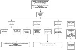 Aproximación diagnóstica y tratamiento de la nefritis lúpica. NL: nefritis lúpica. Adaptado de Parikh et al.37.