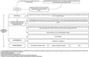 Tratamiento de la nefritis lúpica. Adaptado de Parikh et al.37.