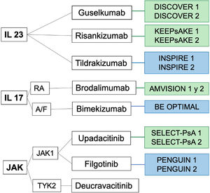 Phase 3 randomized controlled trials of new molecules for the treatment of PsA, in green those currently reported and in blue those under development.
