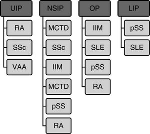 Association between radiological patterns in chest CT and autoimmune diseases. UIP: usual interstitial pneumonia; NSIP: non-specific interstitial pneumonia; OP: organizing pneumonia; LIP: lymphocytic interstitial pneumonia; RA: rheumatoid arthritis; SSc: systemic sclerosis; pSS: primary Sjögren syndrome; MCTD: mixed connective tissue disease; SLE: systemic lupus erythematosus; AAV: associated ANCA vasculitis. Source: adapted from Yoo et al.2.