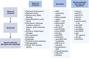 Clinical features, biomarkers and specific antibodies in the approach of interstitial lung disease of indeterminate etiology. DVT: deep vein thrombosis; ANA: anti-nuclear antibodies; anti-CCP: anti-citrulline antibodies; ENAS: extractable anti-nuclear antibodies; CPK: creatin phosphokinase. Source: adapted from Tirelli et al.29.