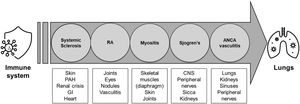 The multi-systemic nature of connective tissue disease related interstitial lung diseases.