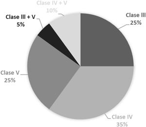 Frecuencia de las diferentes clases de nefritis lúpica en los 20 pacientes.