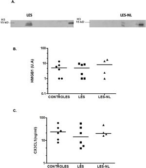Niveles de la histona H3 (A) y HMGB1 (B) detectados por western blot y de CX3CL1 (C) por Elisa. Círculos negros: controles; cuadrados negros: pacientes con LES sin nefritis lúpica; triángulos negros: pacientes con LES y nefritis lúpica. La línea horizontal representa la mediana. U: unidades arbitrarias.