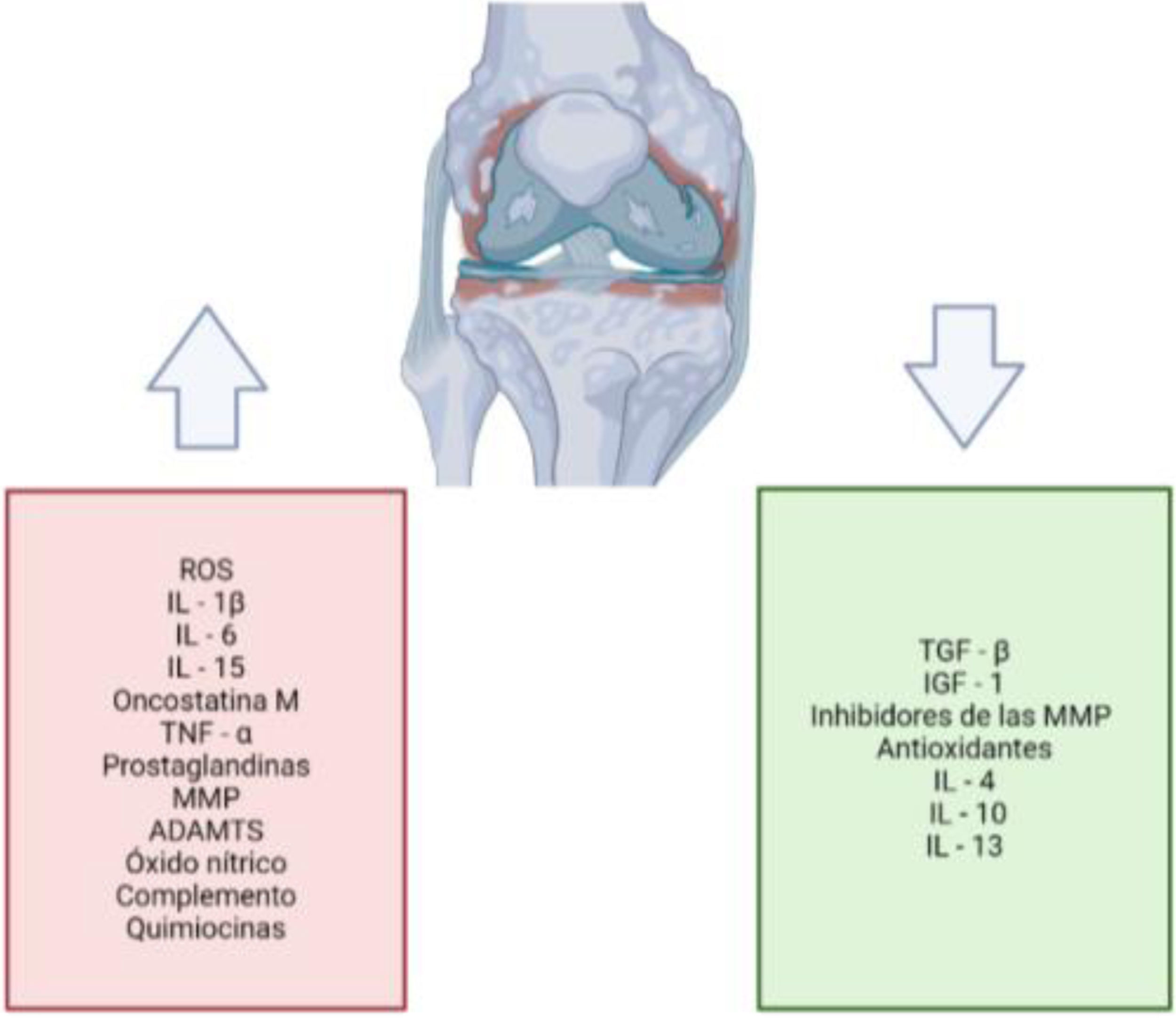 fig0005