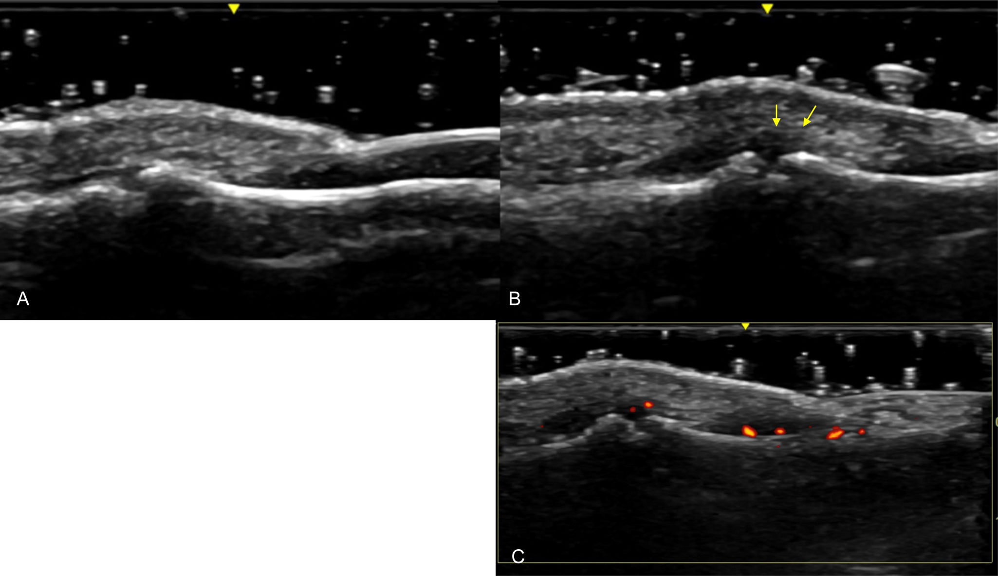 fig0040