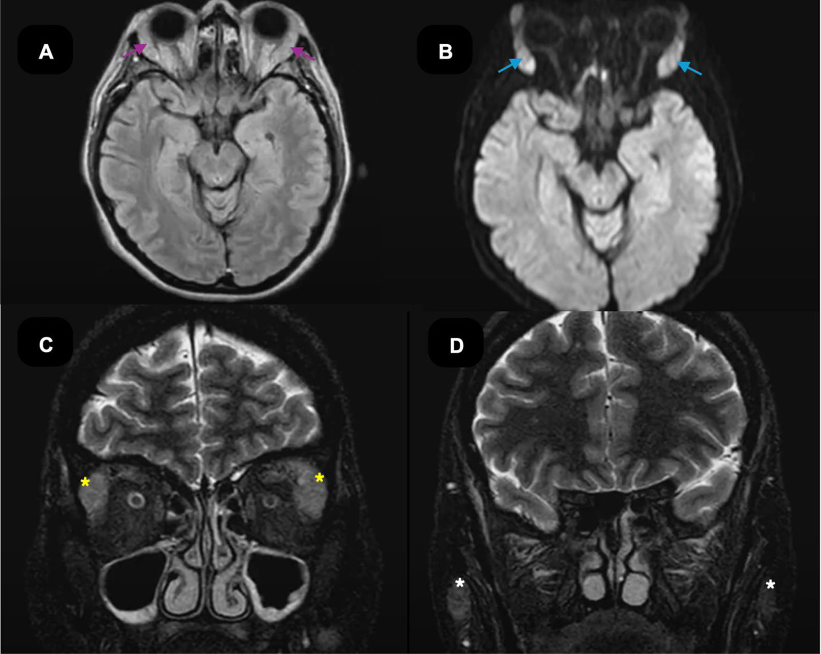 fig0015