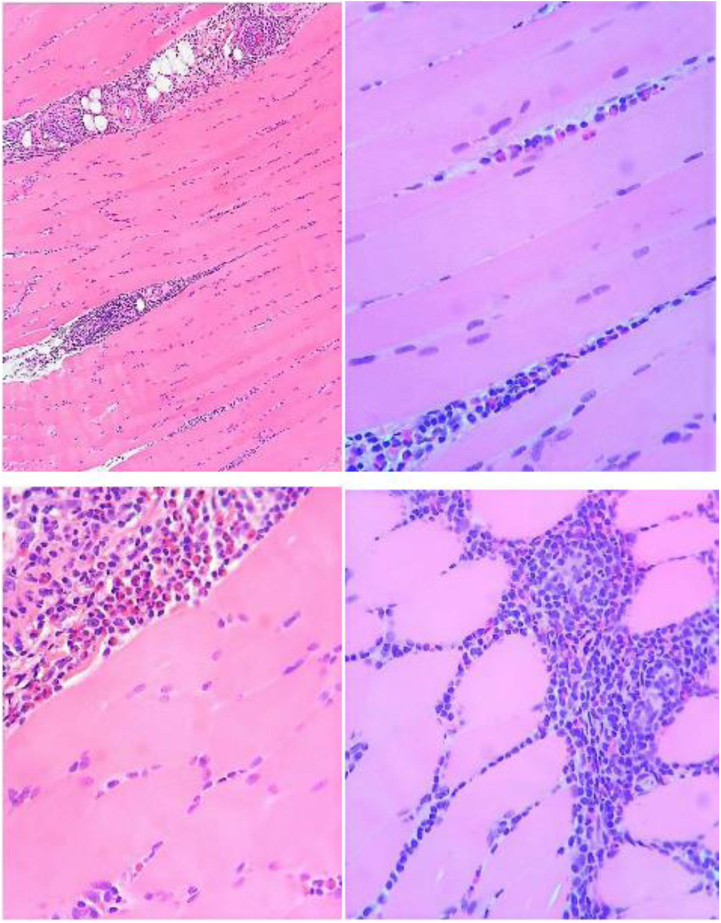 fig0010