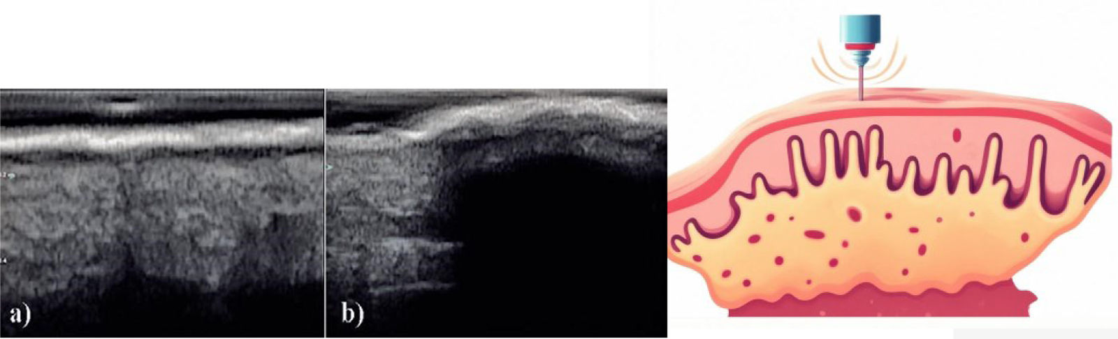 fig0015