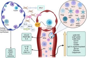 Pathophysiology of interstitial lung disease in patients with idiopathic inflammatory myopathy.