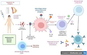 Activación de la respuesta inmune en el síndrome de ASIA. Cuando un individuo con determinados alelos de HLA de tipo 1 o 2 (es decir, HLA-DRB1*01, HLA-DR5 y HLA DQ2) se expone a adyuvantes, estos pueden facilitar una interacción anormal entre antígeno y receptor en las células presentadoras de antígeno y macrófagos. Estas células producen citocinas que conducen a una pérdida de la tolerancia inmunológica, lo que induce respuestas inmunes humorales (linfocitos B y células plasmáticas que producen autoanticuerpos) o celulares (con activación de linfocitos T CD4 y CD8), lo que perpetúa el proceso inflamatorio, con la posterior disfunción endotelial, inflamación persistente y daño tisular secundario. Fuente: elaboración propia.