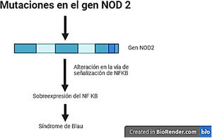 Vía de señalización del gen NOD2.