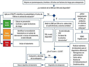 Algoritmo para el diagnóstico y evaluación de la osteoporosis primaria posmenopáusica y asociada al envejecimiento DE: desviación estándar; DMO: densidad mineral ósea; DXA: absorciometría central de rayos X de energía dual; FOM: fractura osteoporótica mayor; FRAX®: Fracture Risk Assessment Tool; REMS: densitometría ósea por multiespectrometría ecográfica por radiofrecuencia; Rx: radiografía; TBS: Trabecular Bone Score; VFA: evaluación de la fractura vertebral. 1 Particularmente en personas con enfermedad renal crónica, artritis reumatoide, diabetes mellitus tipo 2 o en tratamiento con glucocorticoides a largo plazo. 2 En pacientes con T-score <-1 DE, asociado al menos a una de las siguientes: mujer ≥ 70 años, hombres ≥ 80 años, pérdida de talla> 4cm, hipercifosis, historia de fractura vertebral no documentada, consumo de glucocorticoides (25mg/día de prednisolona o su equivalente) por más de tres meses o en quien va a iniciarlo. 3 En hipercifosis o dolor en columna torácica o lumbar de más de 15 días de evolución sin causa aparente.