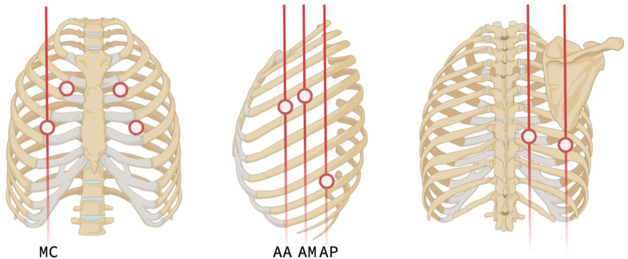 fig0010