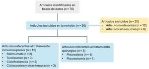 Diagrama de estrategia de búsqueda.