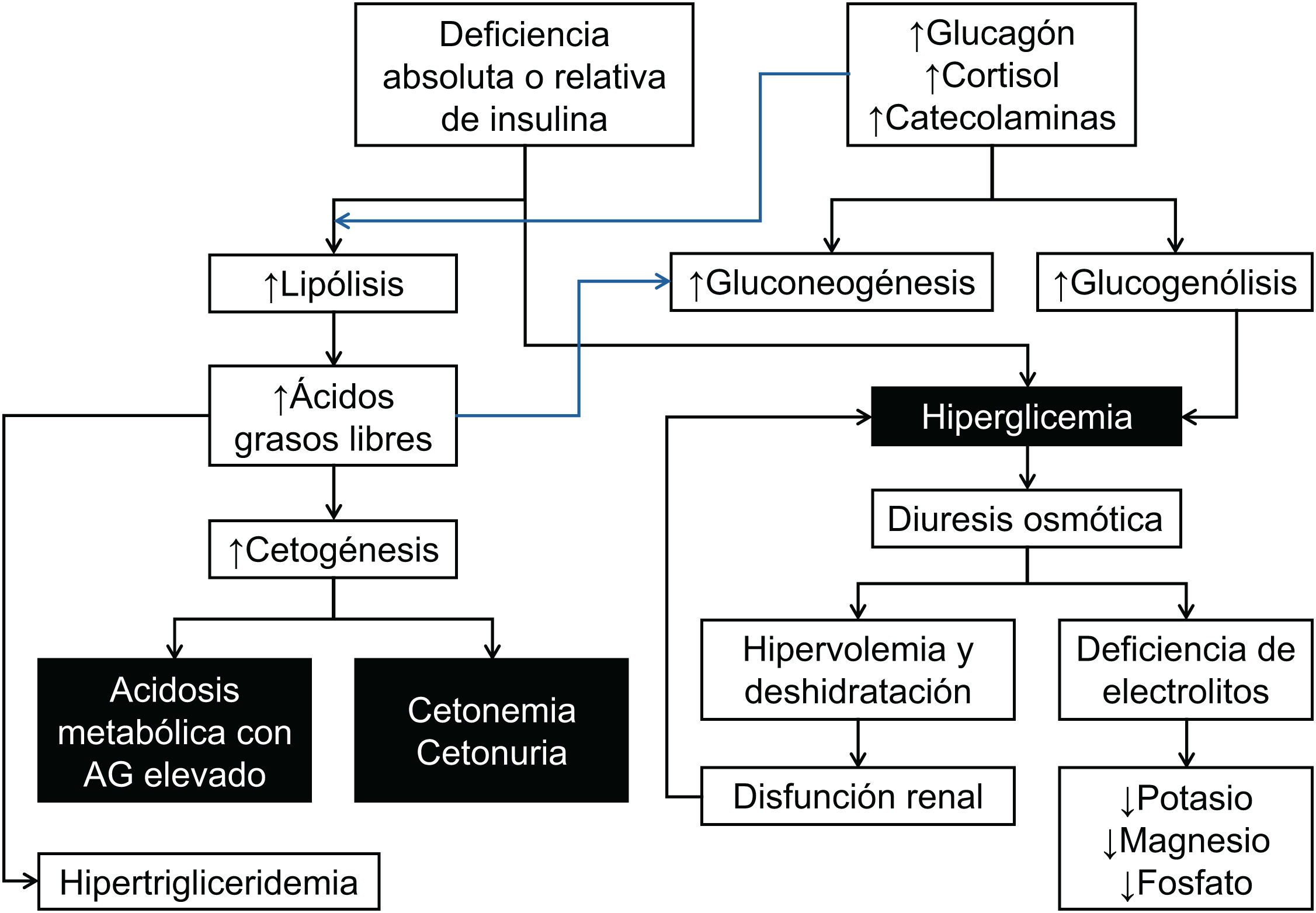 Cetoacidosis diabética | Acta Colombiana de Cuidado Intensivo