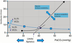 Las variaciones de PaO2 y retroalimentación química en los cuerpos carotídeos. VCO2: producción de dióxido de carbono; VD/VT: fracción de espacio muerto. Fuente: adaptado de Vaporidi et al.3.
