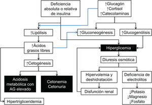 Fisiopatología de la cetoacidosis diabética (CAD). AG: anión gap. Adaptado de: Ghosh S6.
