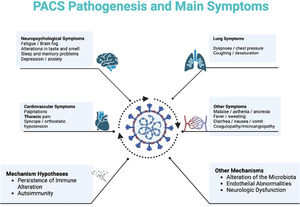 CS pathogenesis and main symptoms.