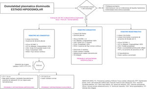 Propuesta de algoritmo diagnostico de hiponatremia. Extraído y modificado de Liamis et al.3.