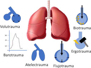 Presentación clínica de la lesión pulmonar asociada a la ventilación mecánica.