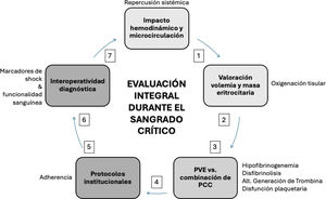 Evaluación integral durante el sangrado crítico. La numeración corresponde a cada una de las recomendaciones incluidas en el texto.