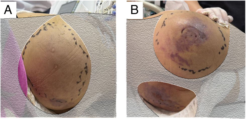 fig0015