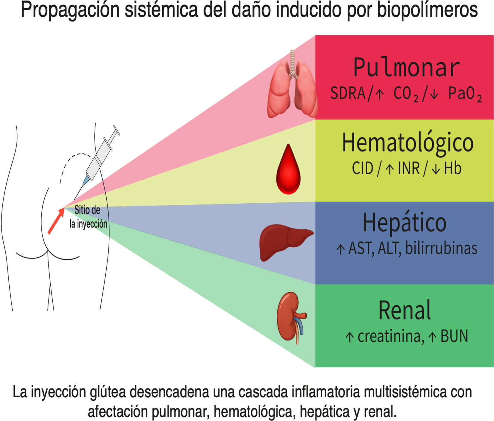 fig0020