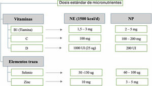 Dosis diaria estándar de micronutrientes claves en pacientes críticos. Se describen las dosis diarias recomendadas de vitaminas y elementos traza seleccionados para nutrición enteral (NE) o nutrición parenteral (NP). Fuente: adaptado de Berger et al.39.