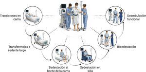 Continuo funcional de la movilización temprana en el paciente crítico. Representación conceptual de la progresión funcional de la movilización temprana en pacientes críticamente enfermos, desde las transiciones en cama hasta la deambulación funcional. La progresión de las intervenciones implica un incremento gradual de la participación activa del paciente, la demanda fisiológica y la interacción neuromuscular, dentro de un proceso dinámico e individualizado orientado a la recuperación funcional segura.